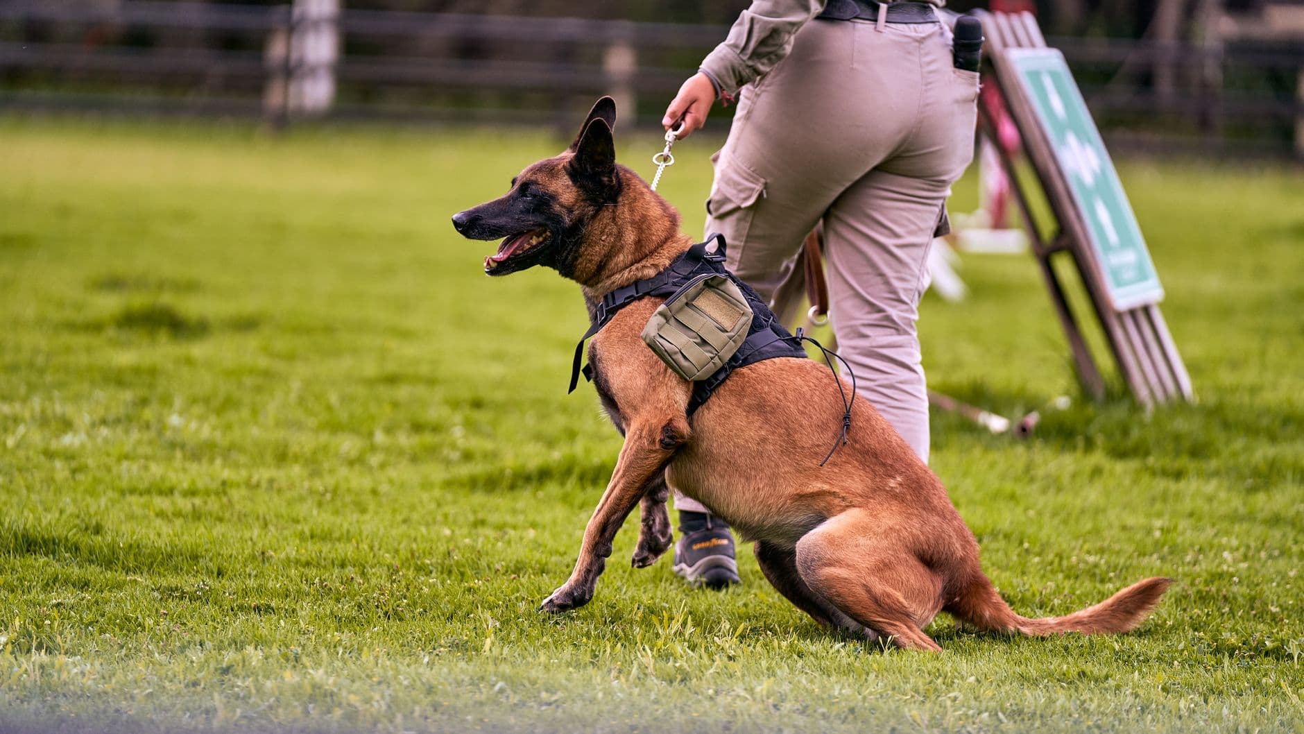 K9 Handler Training Course