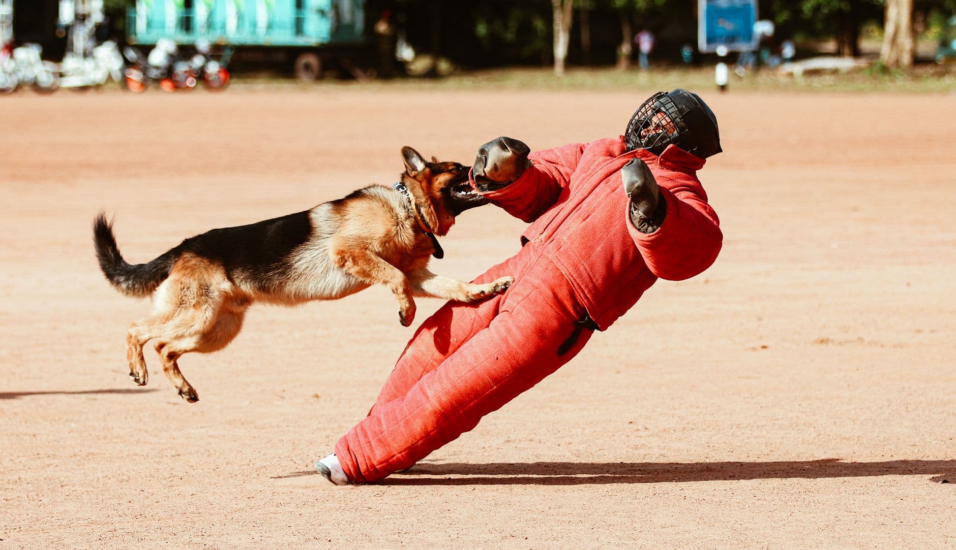 K9 Handler Training Course
