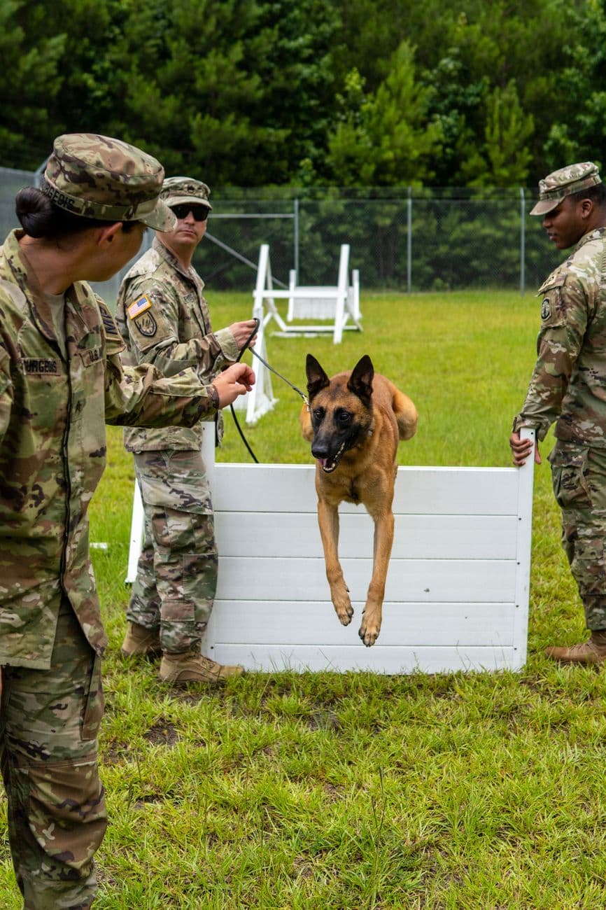 K9 Handler Training Course