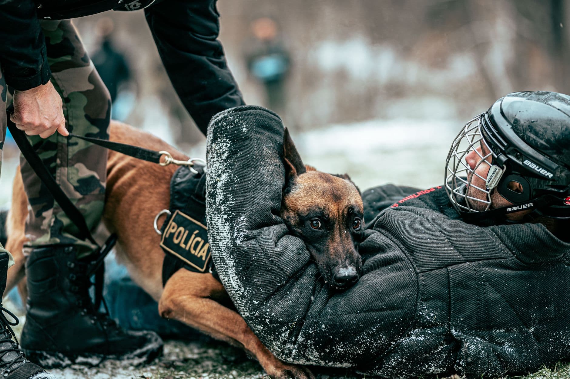 K9 Handler Training Course